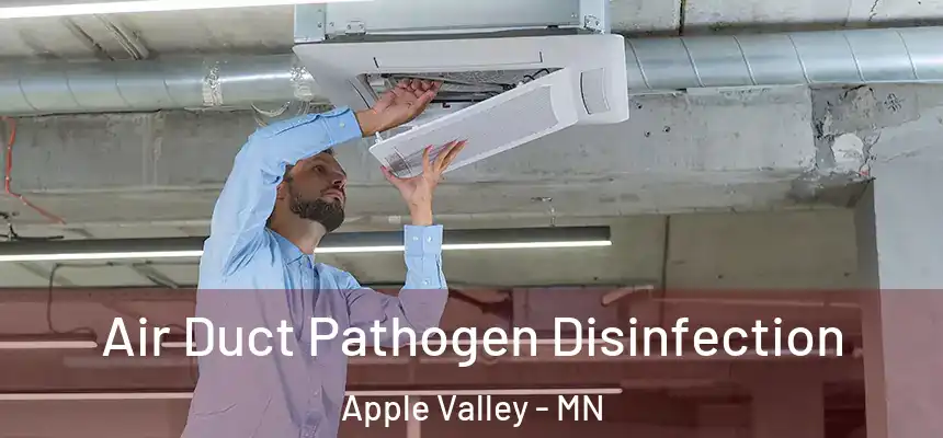 Air Duct Pathogen Disinfection Apple Valley - MN
