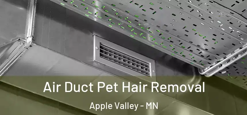 Air Duct Pet Hair Removal Apple Valley - MN