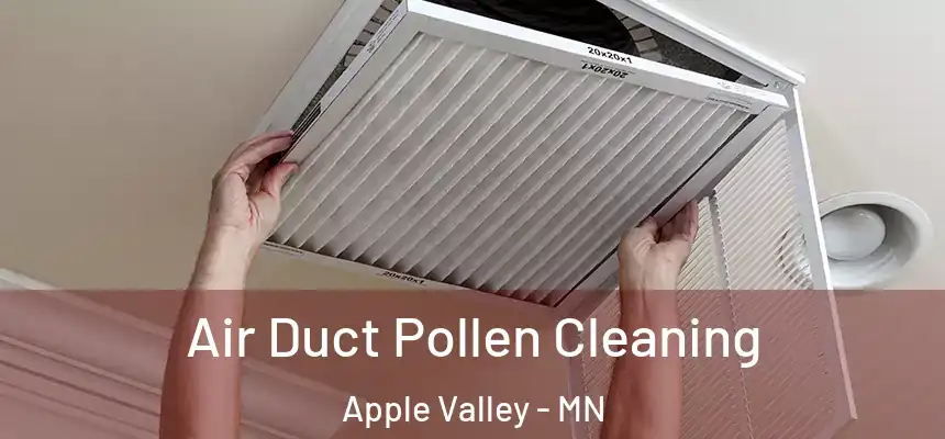 Air Duct Pollen Cleaning Apple Valley - MN