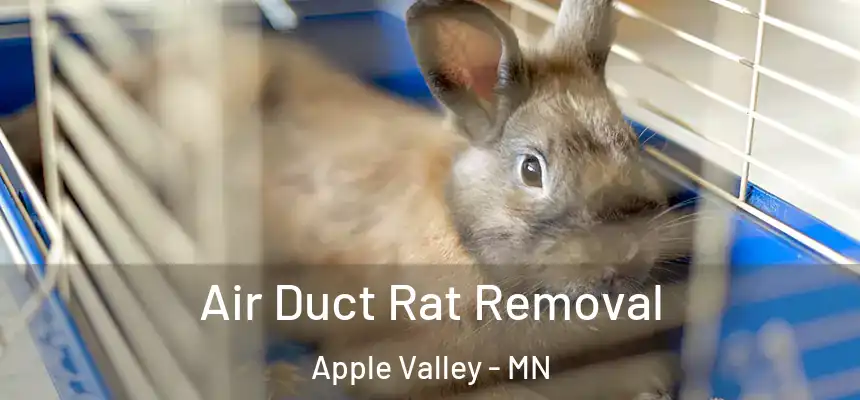  Air Duct Rat Removal Apple Valley - MN