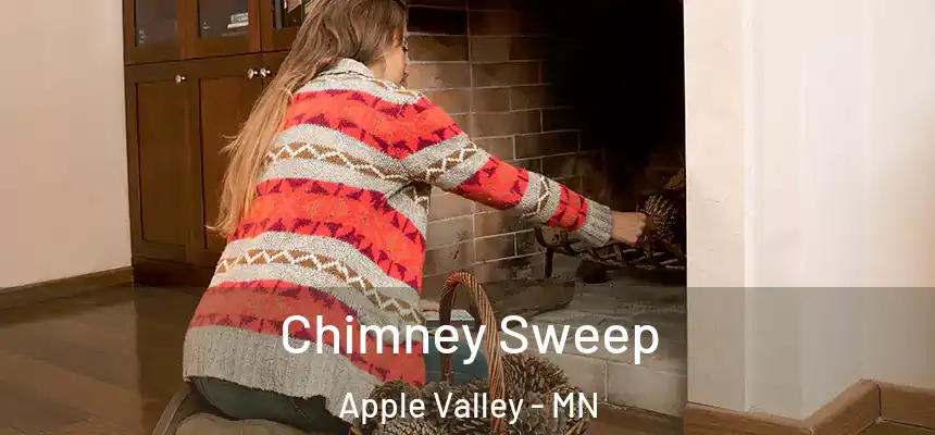  Chimney Sweep Apple Valley - MN