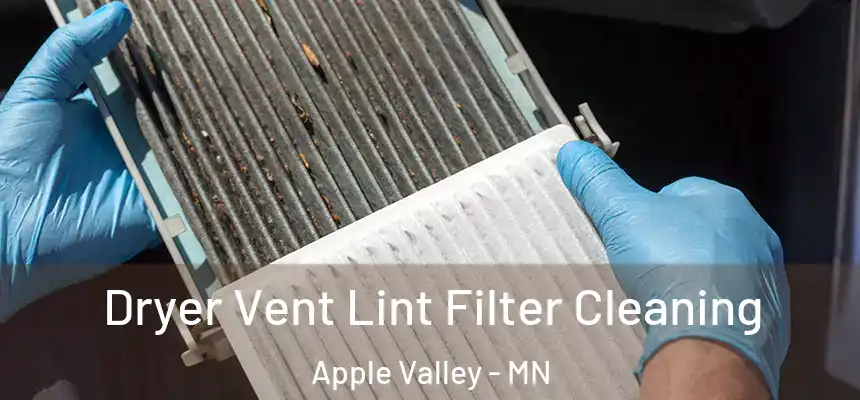  Dryer Vent Lint Filter Cleaning Apple Valley - MN
