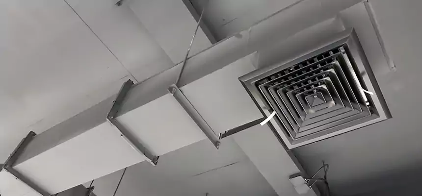 Our Rodent Droppings In Vents Services in Apple Valley, MN