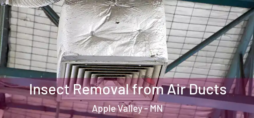  Insect Removal from Air Ducts Apple Valley - MN