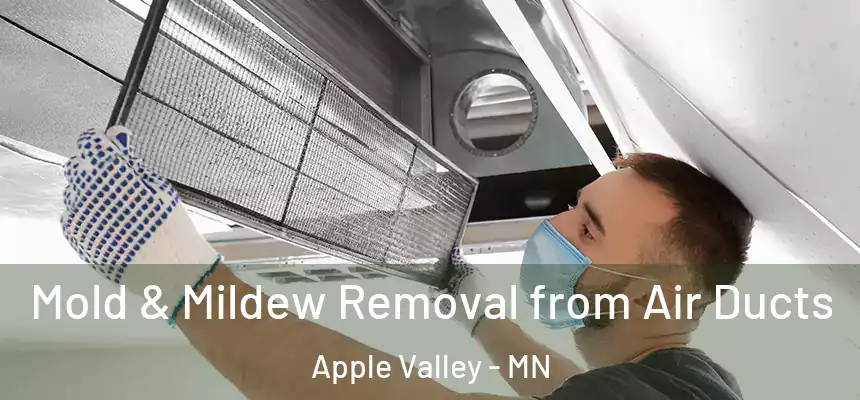  Mold & Mildew Removal from Air Ducts Apple Valley - MN