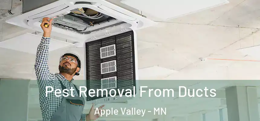  Pest Removal From Ducts Apple Valley - MN