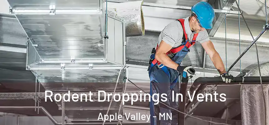  Rodent Droppings In Vents Apple Valley - MN
