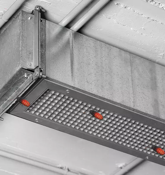 About Air Duct Cockroach Removal in Apple Valley, MN