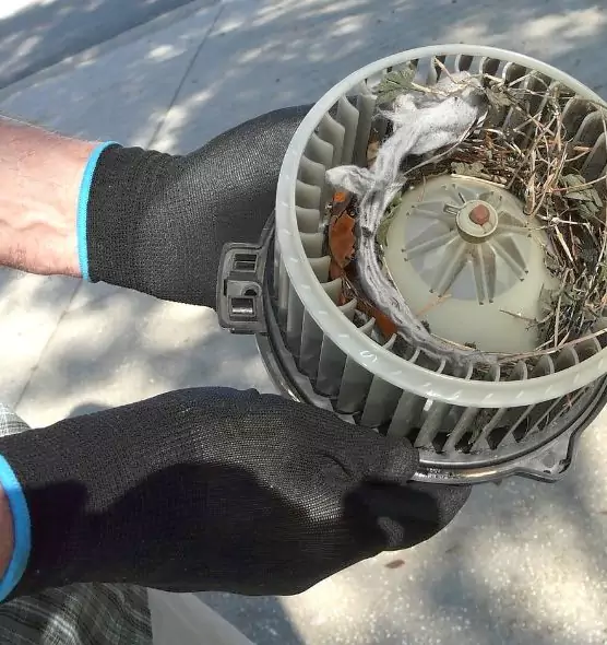 About Air Duct Mice Removal in Apple Valley, MN