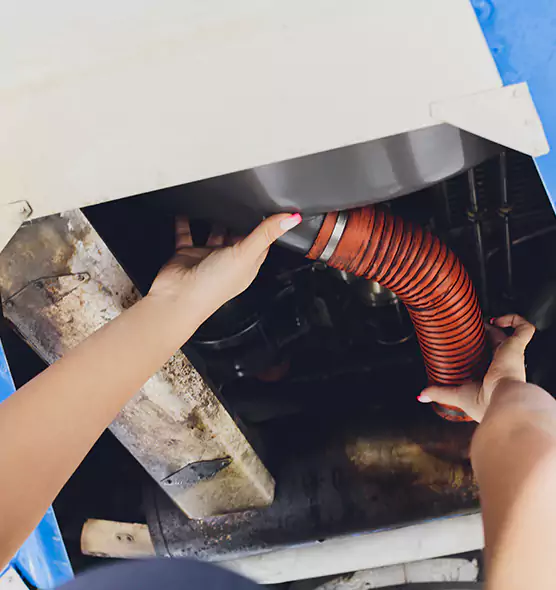 About Air Duct Virus Disinfection in Apple Valley, MN