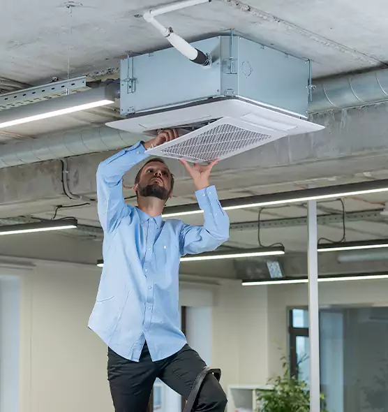 Advanced Rodent Droppings In Vents in Apple Valley, MN