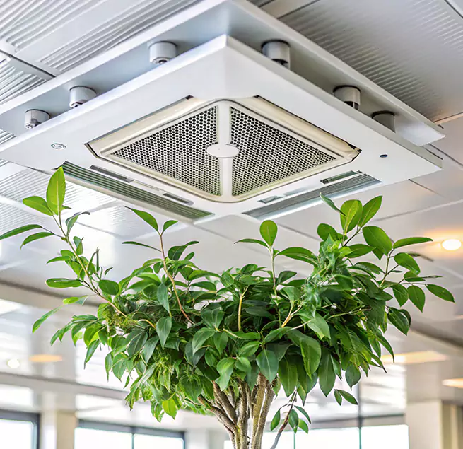 Why Homeowners & Businesses Trust Us in Apple Valley, MN