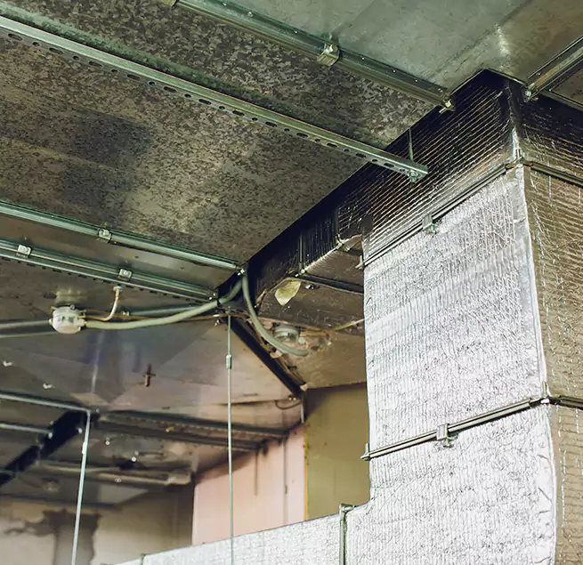 Why Homeowners & Businesses Trust Us in Apple Valley, MN?