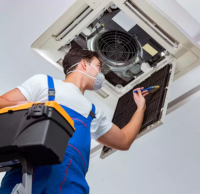 Why Homeowners & Businesses Trust Us in Apple Valley, MN?